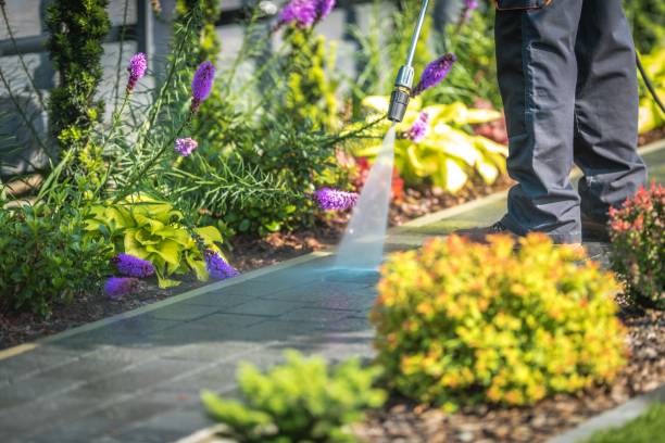 Earlimart, CA Pressure Washing Services Company